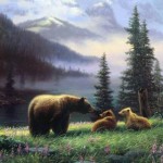animals-bears-landscapes-nature-1636556-480x320